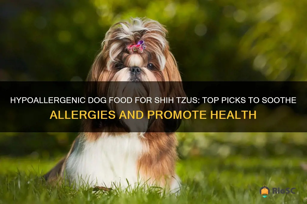 best dog food for shih tzu with allergies
