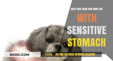 Gentle Nutrition: Top Dog Food Picks for Shih Tzu with Sensitive Stomachs