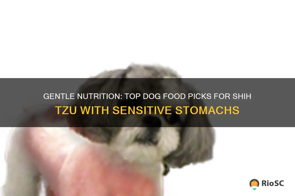 best dog food for shih tzu with sensitive stomach