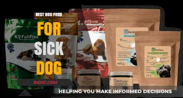 Nutritious Healing: Top Dog Food Options to Aid Your Sick Pup's Recovery