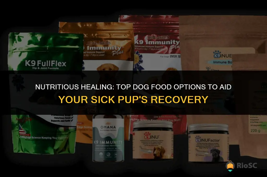 best dog food for sick dog