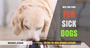 Nourishing Care: Top Dog Food Picks for Your Under-the-Weather Furry Friend