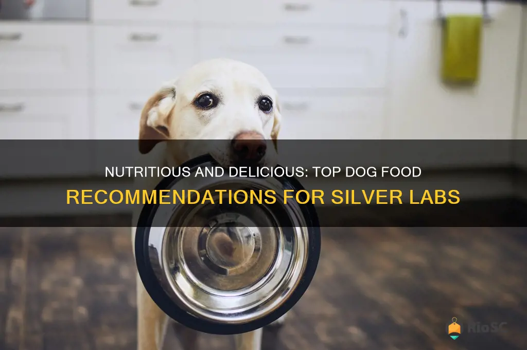 best dog food for silver labs