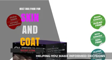 Nourish and Shine: Top Dog Foods for Healthy Skin and a Lustrous Coat