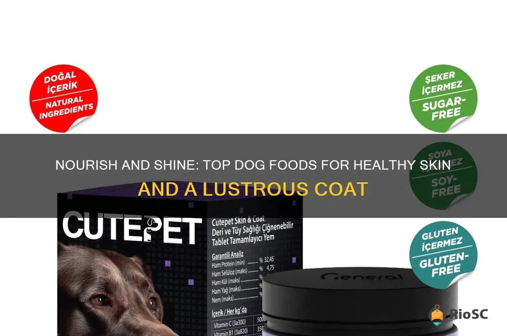 best dog food for skin and coat