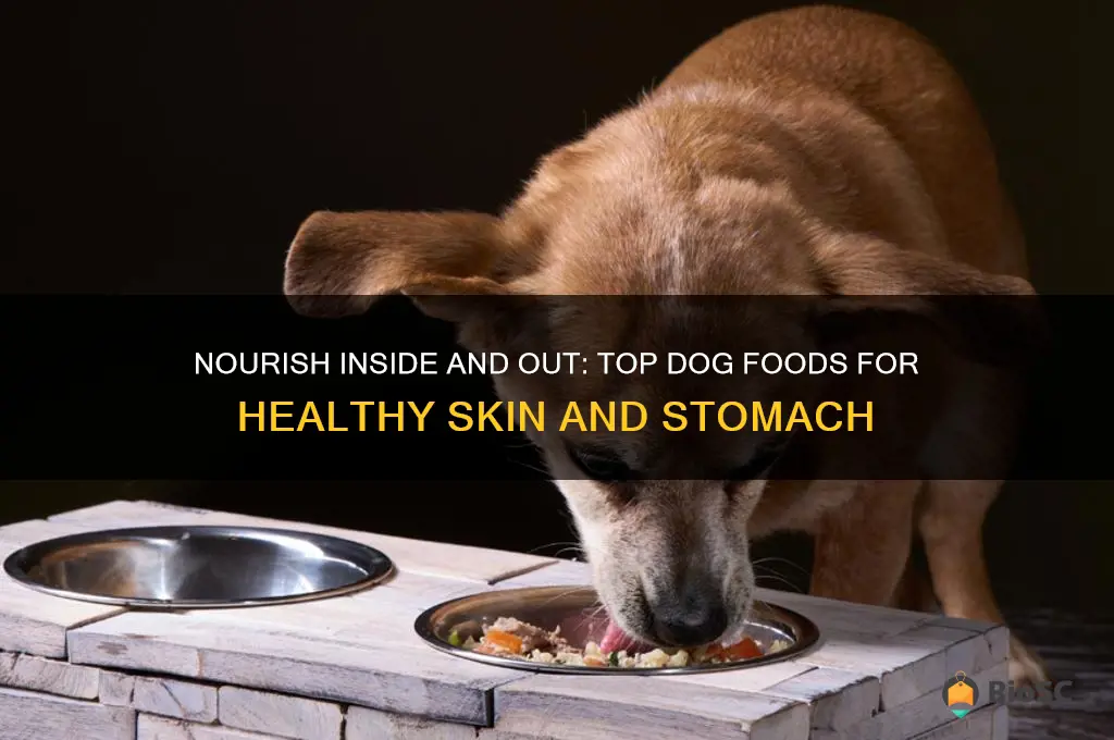 best dog food for skin and stomach