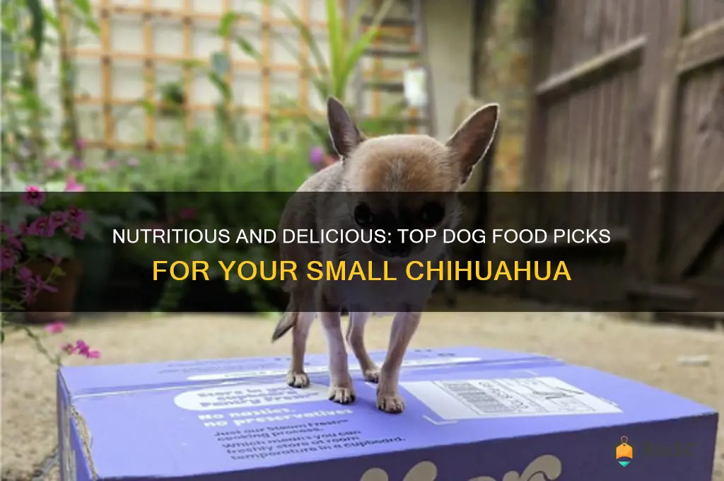 best dog food for small chihuahua