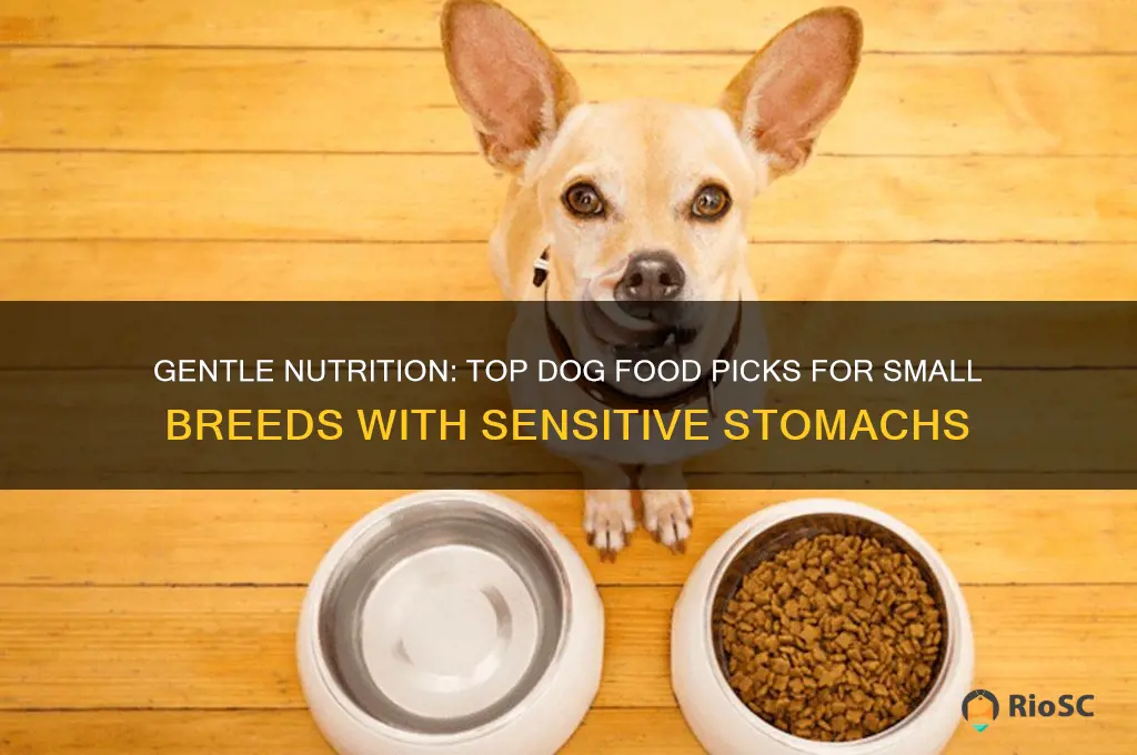 best dog food for small dogs with sensitive stomachs