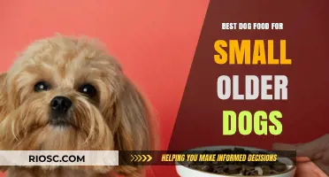 Nutritious and Delicious: Top Dog Food Choices for Aging Small Breeds