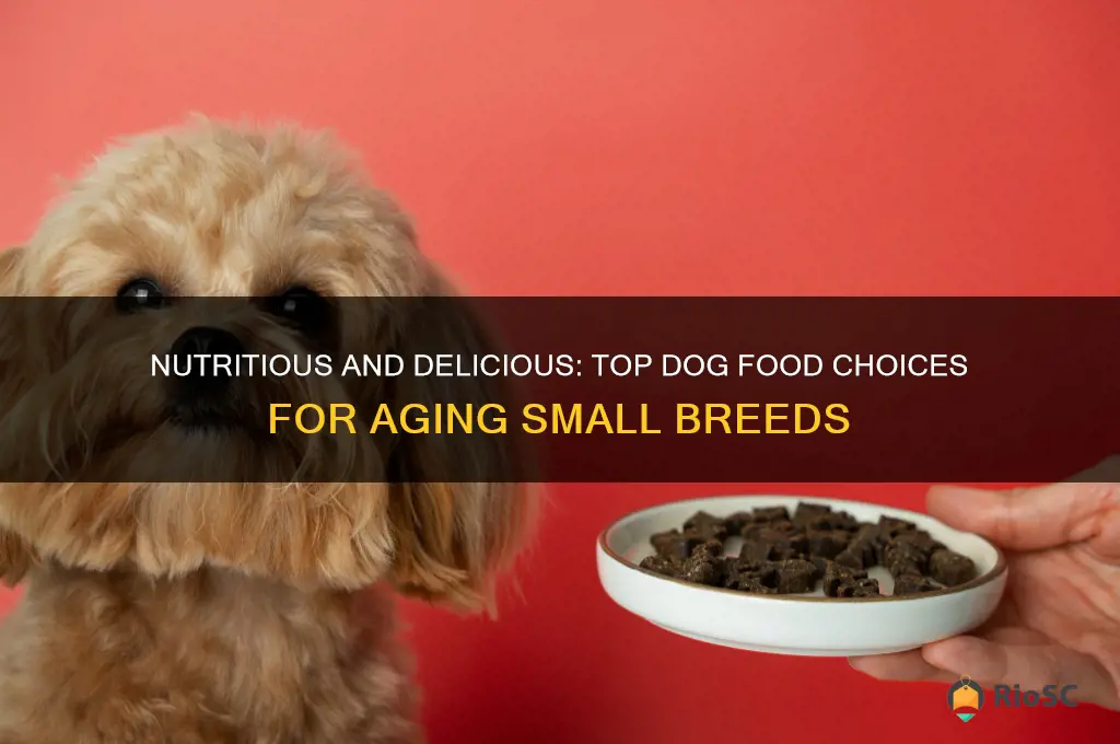 best dog food for small older dogs