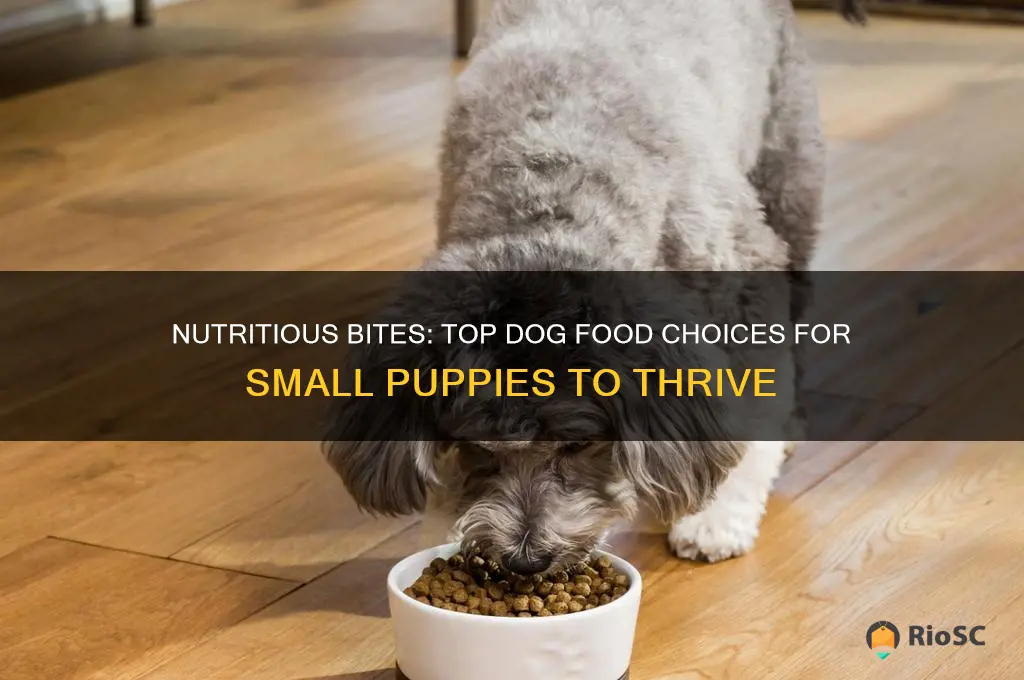 best dog food for small puppies