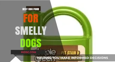 Banish the Odor: Top Dog Foods to Freshen Up Your Smelly Pup
