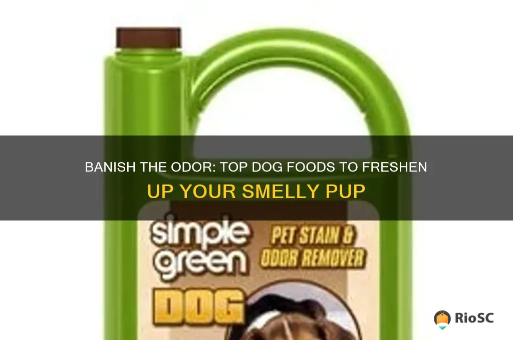 best dog food for smelly dogs