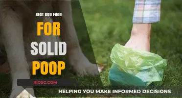 Top Dog Food Choices for Firmer, Healthier Poop: A Guide to Better Digestion