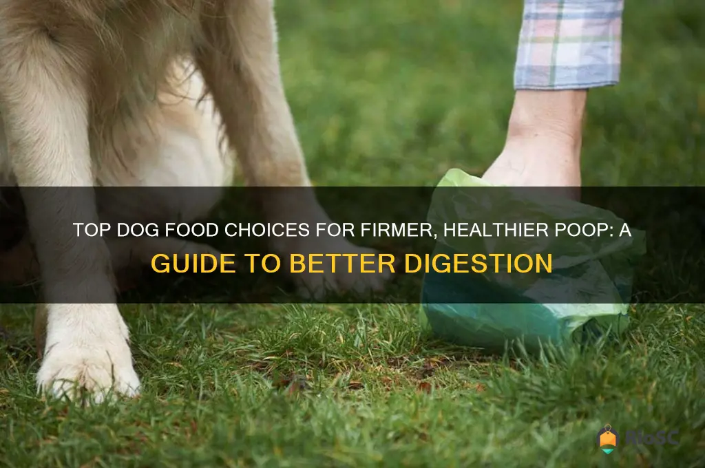 best dog food for solid poop