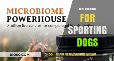 Fuel Their Performance: Top Dog Food Picks for Sporting Dogs