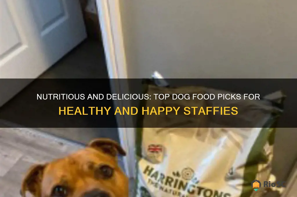 best dog food for staffies