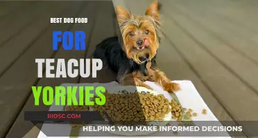 Top Nutritional Picks: Best Dog Food for Teacup Yorkies to Support Health and Vitality