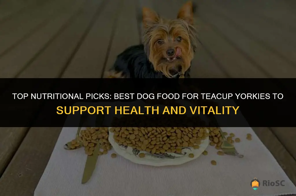 best dog food for teacup yorkies