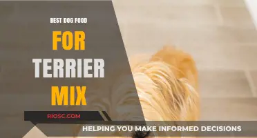 Top Terrier Mix Nutrition: Finding the Perfect Dog Food for Your Energetic Companion