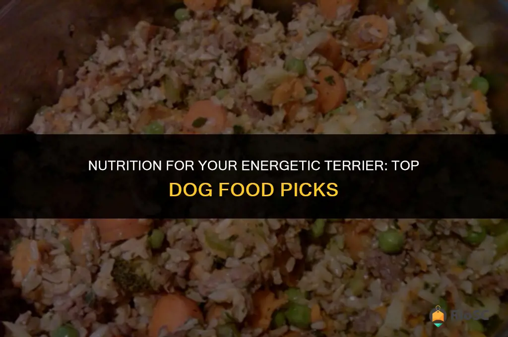 best dog food for terriers