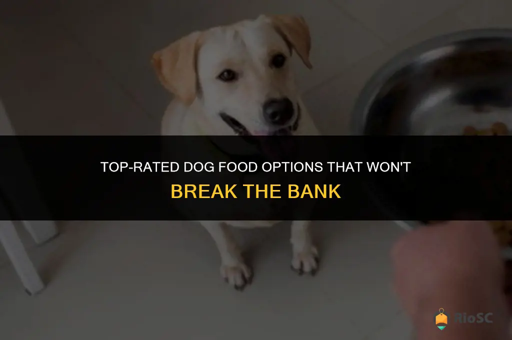 best dog food for the money