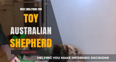 Top Nutritional Picks: Best Dog Food for Toy Australian Shepherds to Thrive