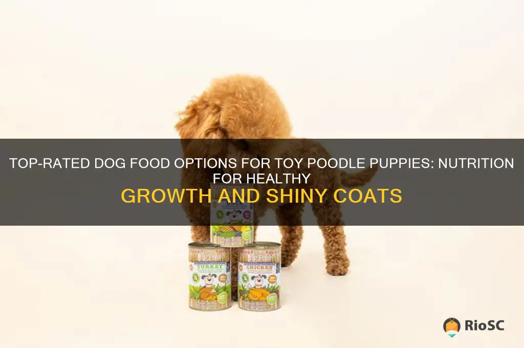 best dog food for toy poodle puppy