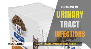 Top Dog Food Options to Support Urinary Tract Health and Prevent Infections