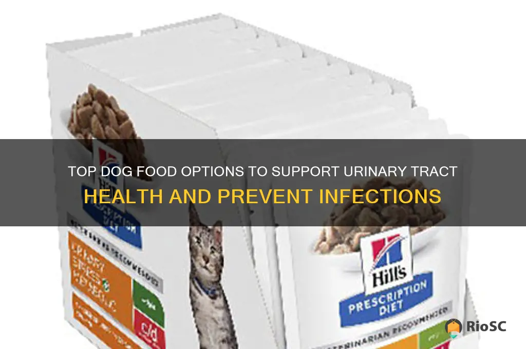 best dog food for urinary tract infections