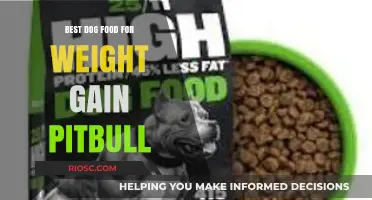 High-Calorie Dog Food Options to Help Your Pitbull Gain Weight Safely