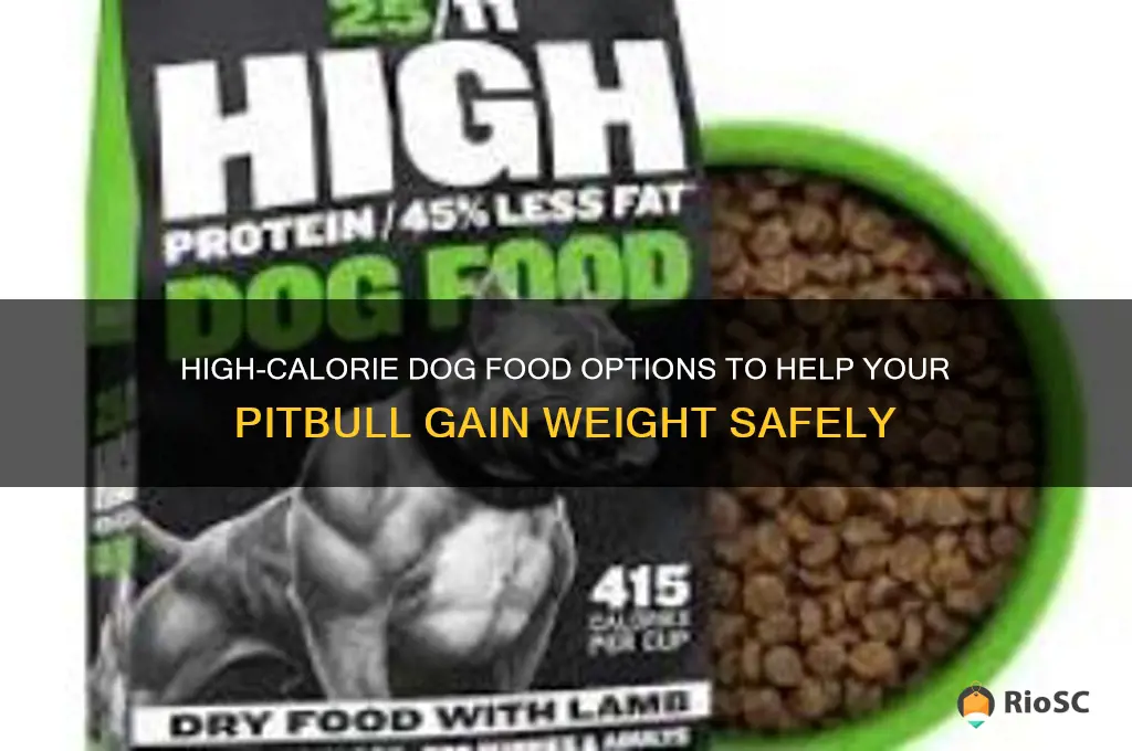 best dog food for weight gain pitbull