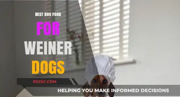 Top Nutritional Picks: Best Dog Food for Weiner Dogs to Support Health and Vitality