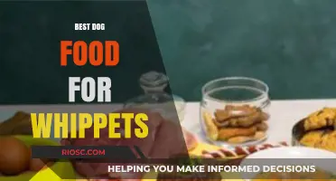 Nutritious and Delicious: Top Dog Food Picks for Whippets to Thrive