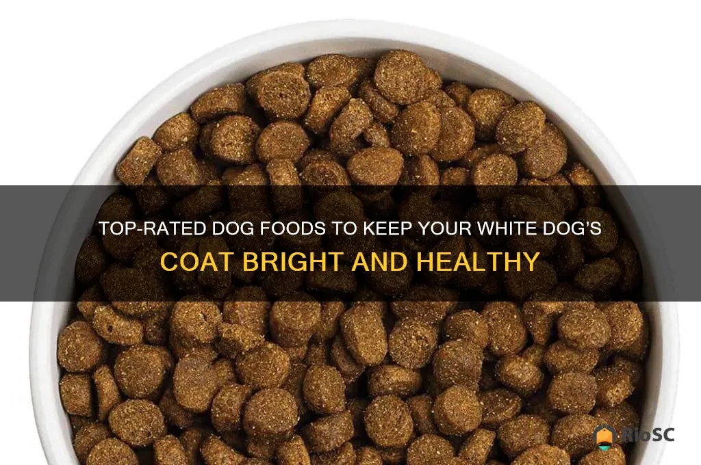 best dog food for white dogs