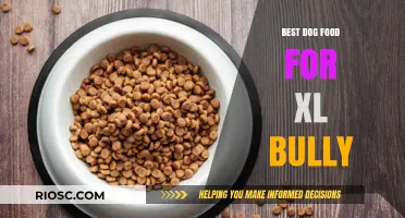 Top-Rated Dog Food Options for XL Bullies: Nutrition to Fuel Your Powerful Pup
