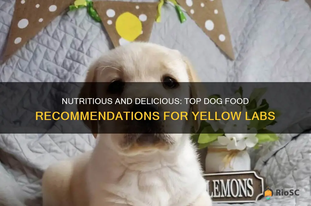 best dog food for yellow labs