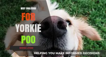 Top-Rated Dog Food Options for Yorkie Poos: Nutrition and Health Tips for Your Furry Friend