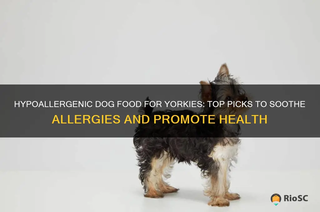 best dog food for yorkies with allergies