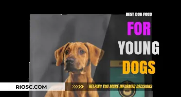Nourishing the Next Generation: Premium Dog Food Picks for Young Pups