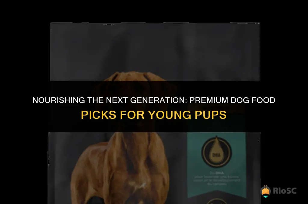 best dog food for young dogs