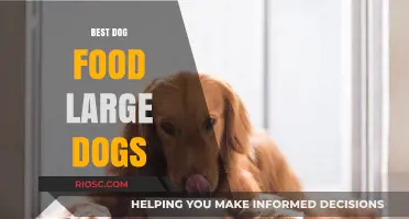Top Nutrition Picks: Premium Dog Food Options for Large Breeds