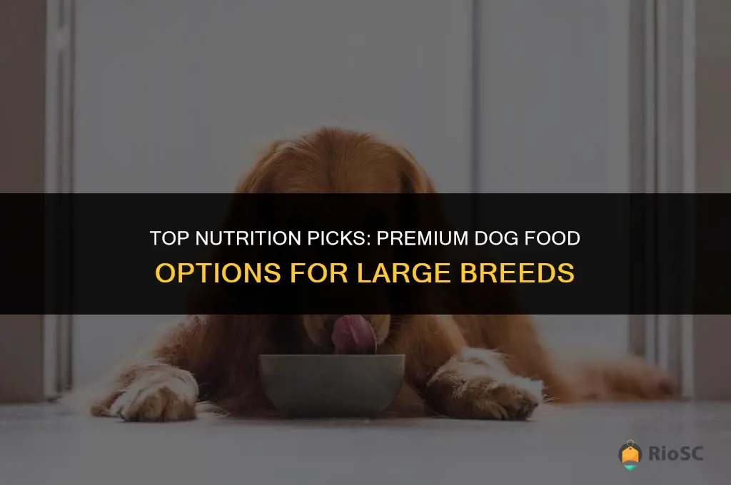 best dog food large dogs