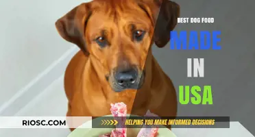 Top-Rated Dog Food Brands Made in the USA: A Comprehensive Guide for Pet Owners