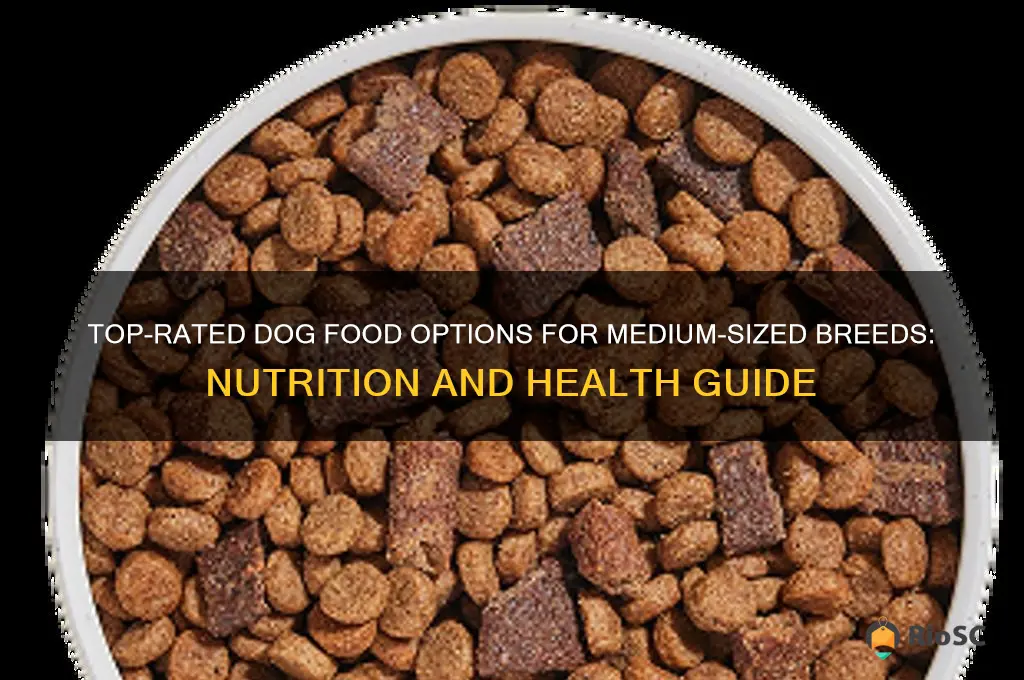 best dog food medium sized dogs