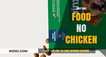 Top Chicken-Free Dog Food Options for Healthy and Happy Canines