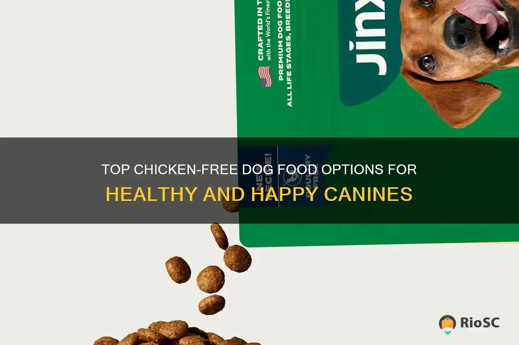 best dog food no chicken