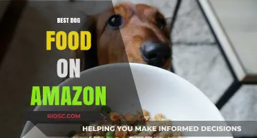 Top-Rated Dog Food on Amazon: A Comprehensive Guide for Pet Owners