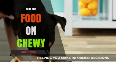 Top-Rated Dog Food Brands on Chewy: Nutritious Picks for Your Furry Friend