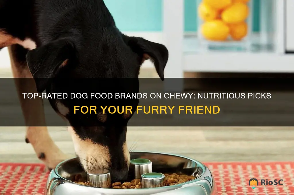 best dog food on chewy